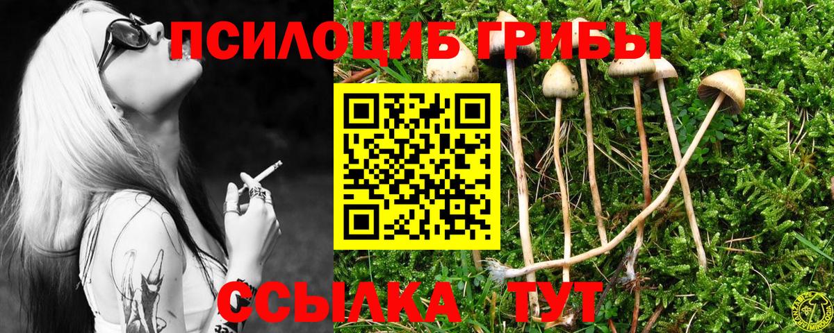 Псилоцибиновые грибы Psilocybine cubensis  Галлюциногенные грибы Magic Shrooms  Нерюнгри  Вход с VPN 